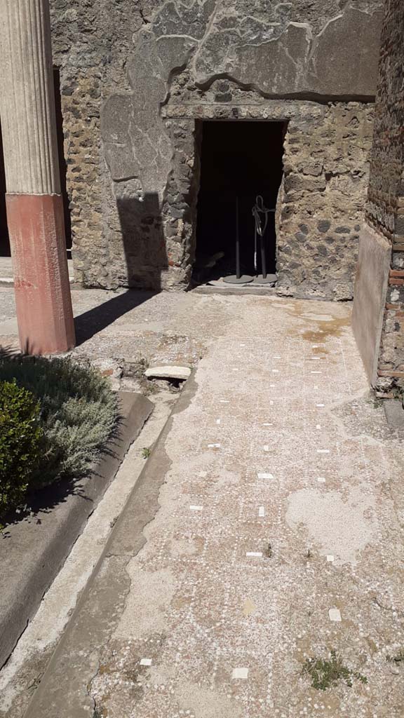 I.9.5 Pompeii. July 2021.
Room 12, south side of peristyle, showing gutter and portico floor. Looking east.
Photo courtesy of Davide Peluso.