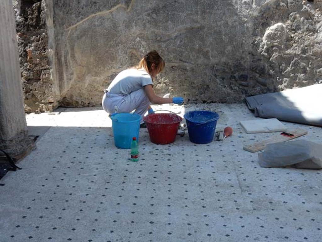 I.9.5 Pompeii. May 2016. Room 3, atrium floor in south-west corner. Photo courtesy of Buzz Ferebee.