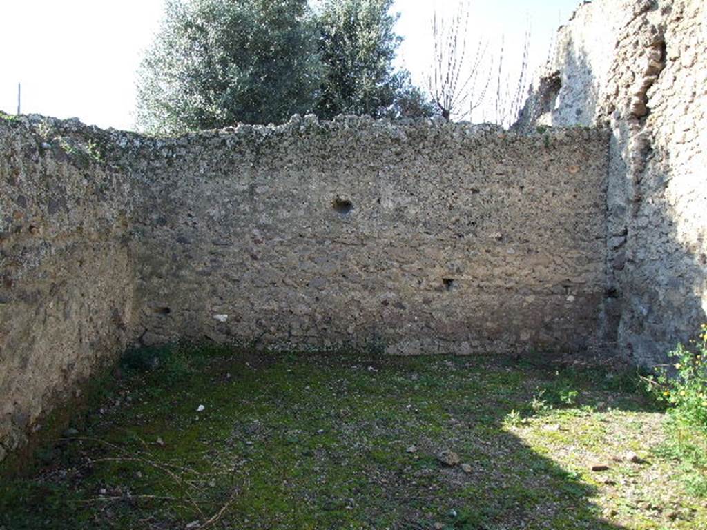 I.9.9 Pompeii. December 2006. West wall of rear room or garden area?.
