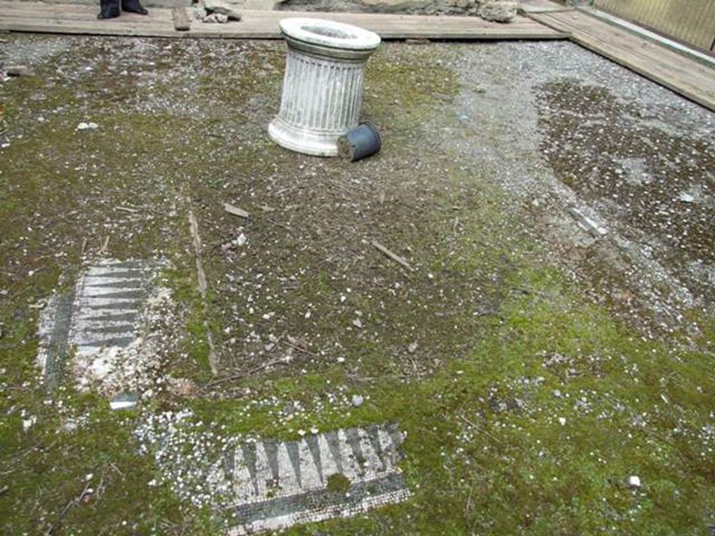 I.9.14 Pompeii. March 2009. Room 8. Atrium. Mosaic edge of impluvium.
