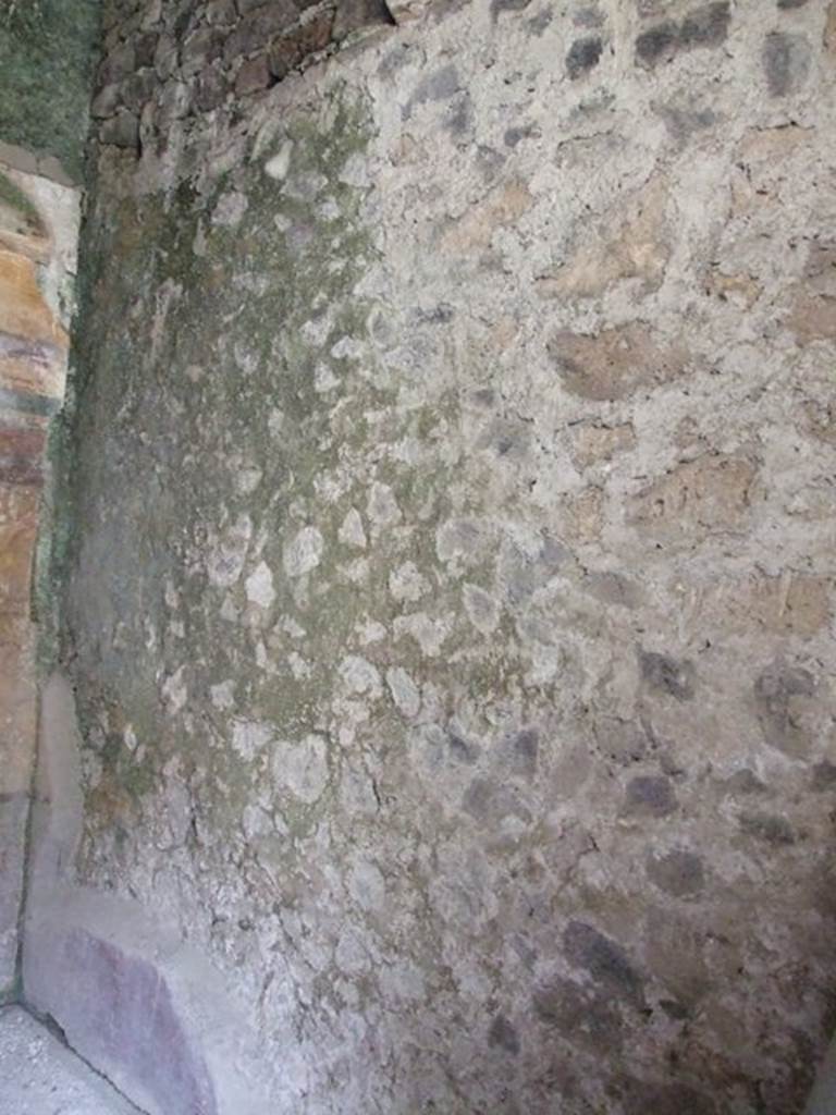 I.9.14 Pompeii. March 2009. Room 11. South wall.