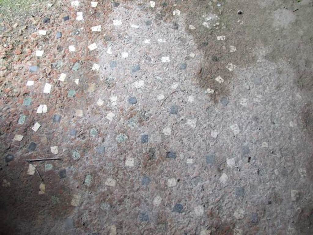 I.9.14 Pompeii. March 2009. Room 12. Floor.