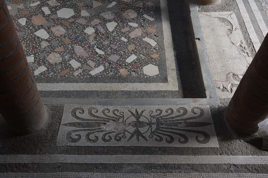 I.10.4 Pompeii. September 2019. Room 46, mosaic with plumes.
Foto Annette Haug, ERC Grant 681269 DÉCOR.