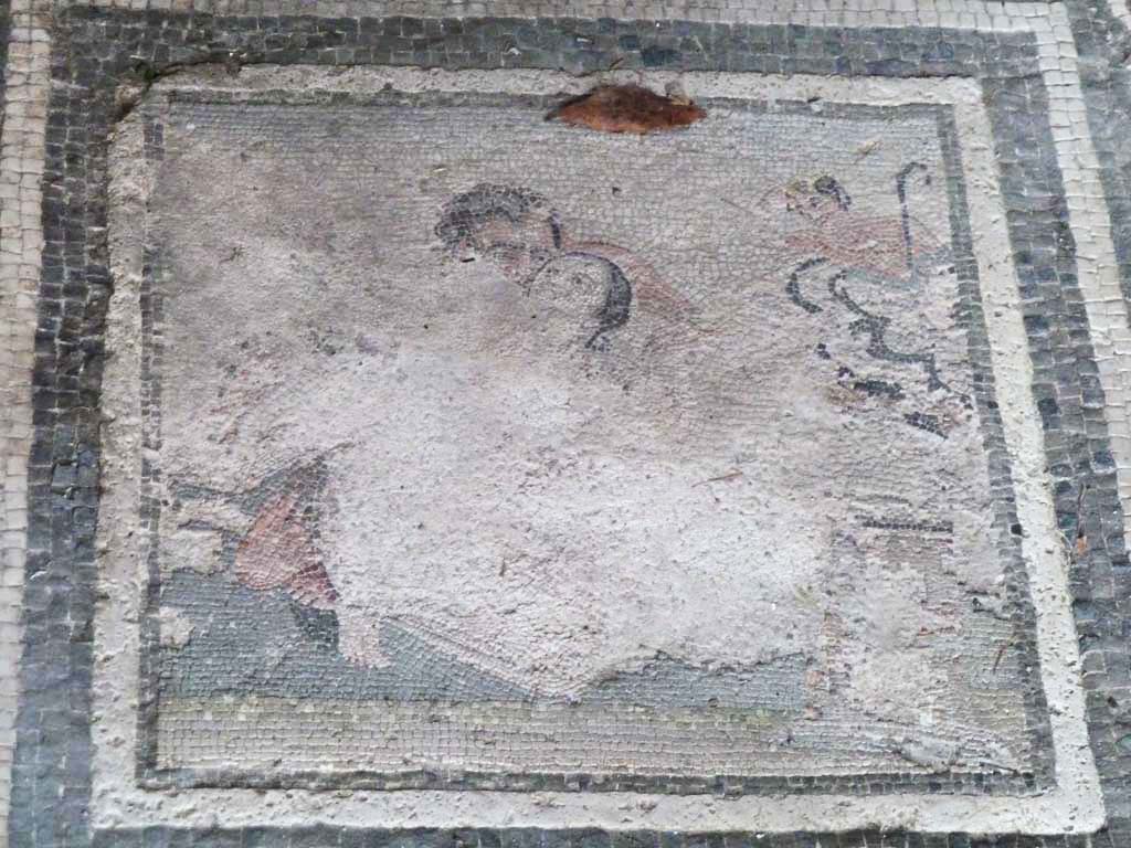 I.10.4 Pompeii. May 2010. Room 21, detail from mosaic of satyr and maenad.