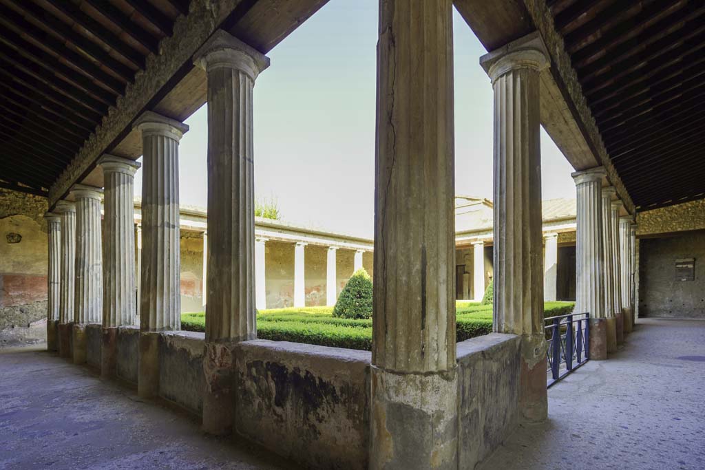 I.10.4 Pompeii. August 2021.
Looking north-west across peristyle garden from portico in south-east corner. Photo courtesy of Robert Hanson.