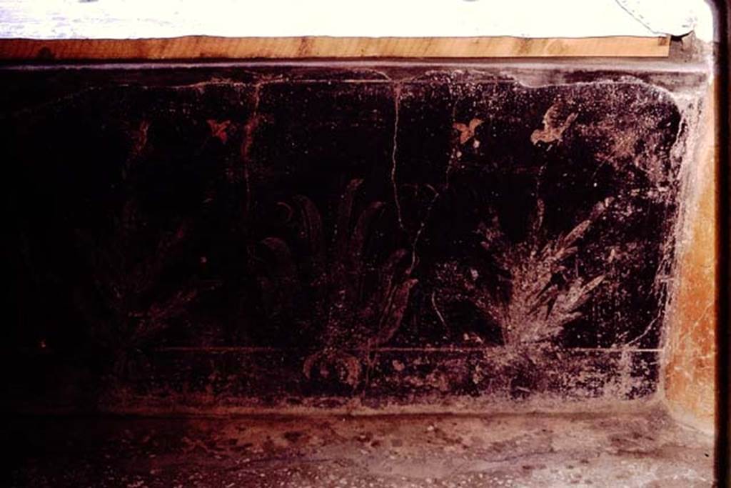 I.10.4 Pompeii. 1964. Detail of painted pluteus from around the peristyle garden. Photo by Stanley A. Jashemski.
Source: The Wilhelmina and Stanley A. Jashemski archive in the University of Maryland Library, Special Collections (See collection page) and made available under the Creative Commons Attribution-Non Commercial License v.4. See Licence and use details.
J64f1917