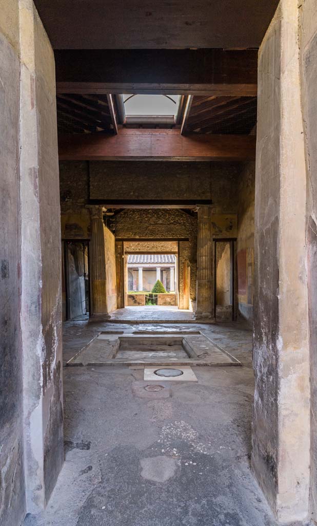 I.10.4 Pompeii. April 2022.
Looking south across atrium from entrance corridor. Photo courtesy of Johannes Eber.
In the fauces or entrance corridor is a painting of swan with wings outstretched.