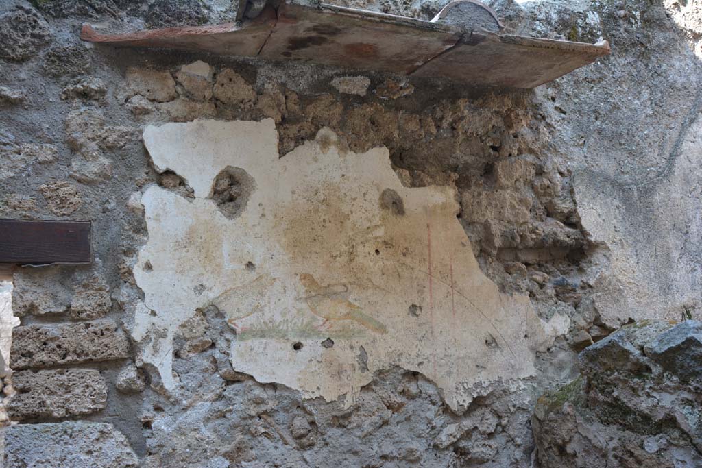 I.10.6 Pompeii. April 2017. Wall painting of two birds on west wall of small room. Photo courtesy Adrian Hielscher.