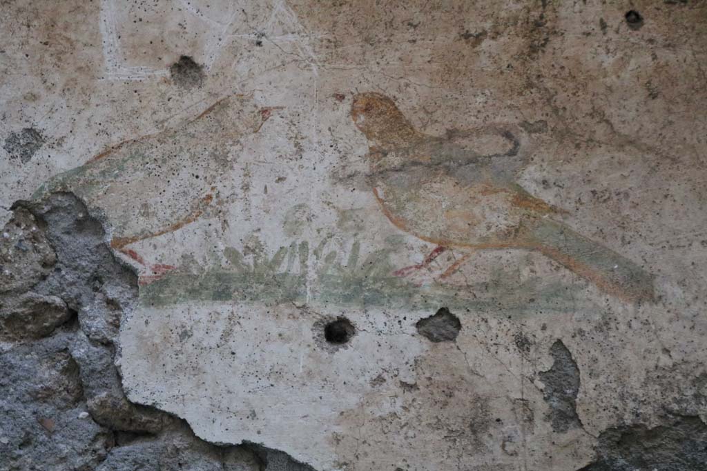 I.10.6 Pompeii. December 2018.
Detail of bird wall painting from west wall of small room to east of workshop. Photo courtesy of Aude Durand.
