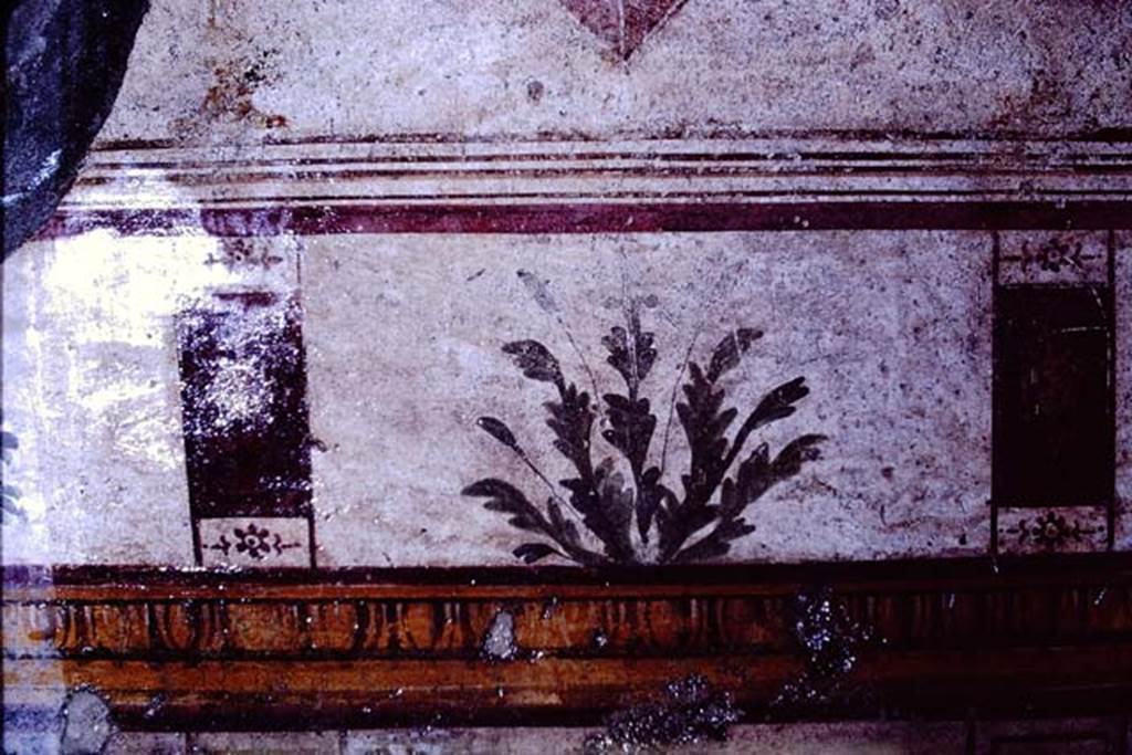 I.10.8 Pompeii. 1966. Room 8, detail of painted plant from centre of east wall. Photo by Stanley A. Jashemski.
Source: The Wilhelmina and Stanley A. Jashemski archive in the University of Maryland Library, Special Collections (See collection page) and made available under the Creative Commons Attribution-Non Commercial License v.4. See Licence and use details.
J66f0522