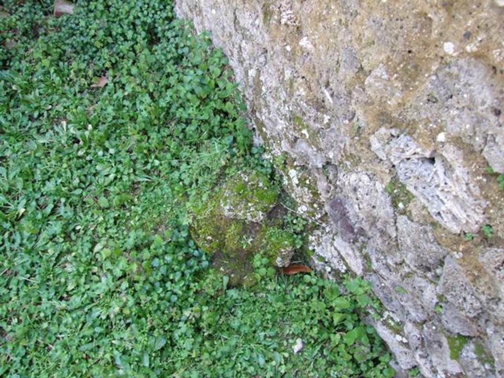 I.10.8 Pompeii. March 2009. Room 14. Garden. West wall.