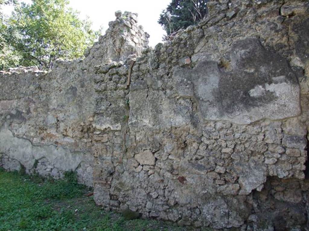 I.10.8 Pompeii. March 2009. Room 14. Garden. South wall.