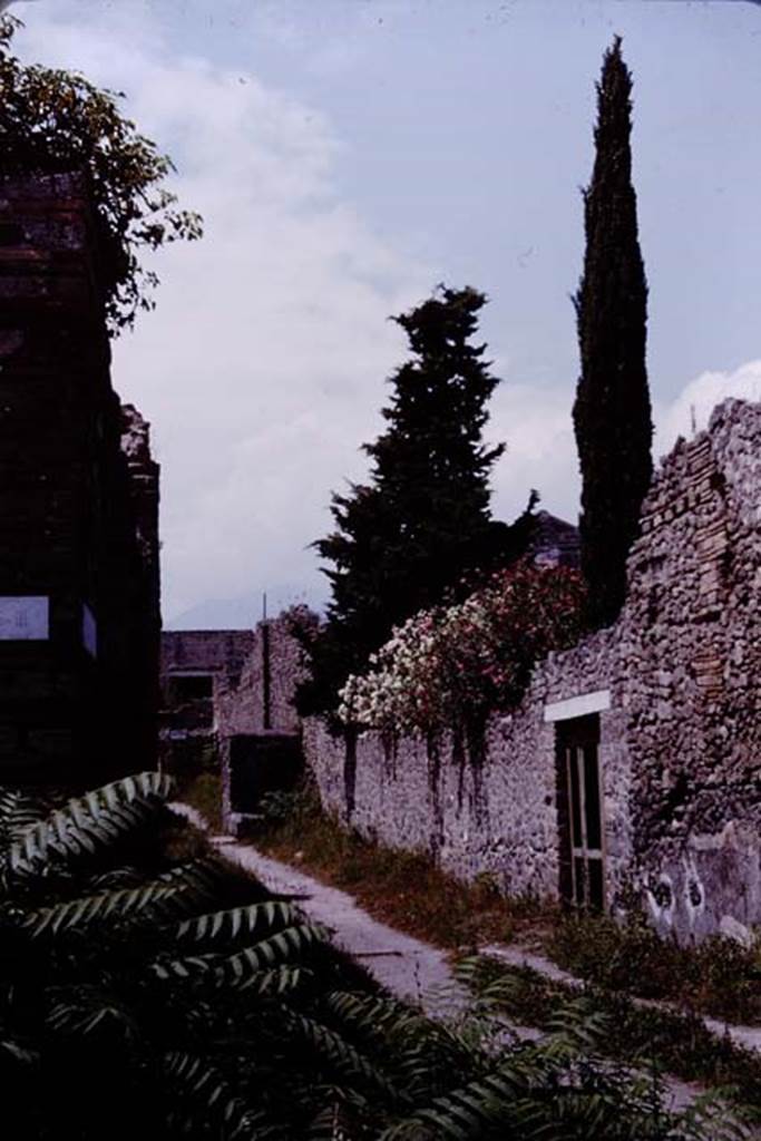 I.10.10 Pompeii. 1964. Looking north towards doorway on east side of Vicolo del Citarista. Photo by Stanley A. Jashemski.
Source: The Wilhelmina and Stanley A. Jashemski archive in the University of Maryland Library, Special Collections (See collection page) and made available under the Creative Commons Attribution-Non Commercial License v.4. See Licence and use details.
J64f1294