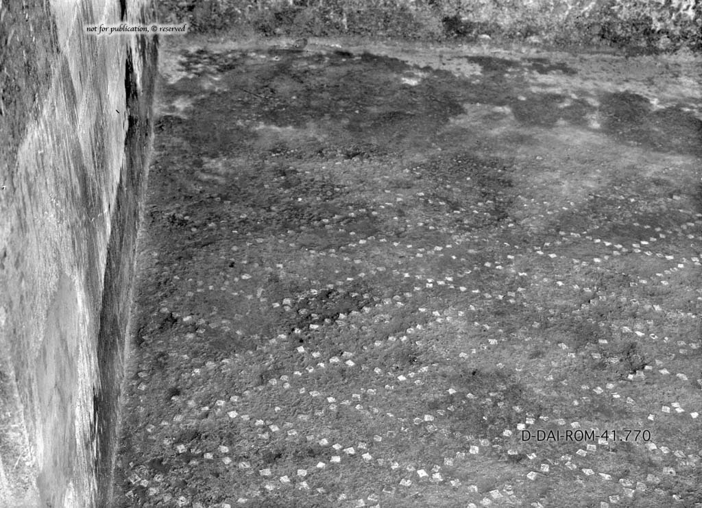 I.10.11 Pompeii. c.1930. Room 6, flooring in south ala.
DAIR 41.770. Photo © Deutsches Archäologisches Institut, Abteilung Rom, Arkiv.
See Pernice, E. 1938. Pavimente und Figürliche Mosaiken: Die Hellenistische Kunst in Pompeji, Band VI. Berlin: de Gruyter, (tav. 48,4 above.)