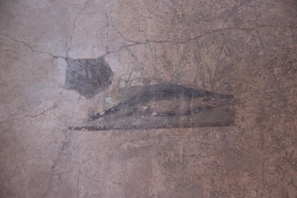 I.10.11 Pompeii. October 2022.
Room 7, painting of a crocodile from north end of east wall of cubiculum. Photo courtesy of Klaus Heese.
