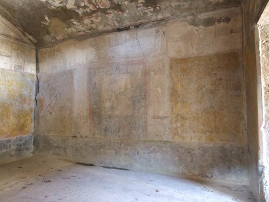 I.10.11 Pompeii. March 2009. Room 8. Triclinium. North wall.