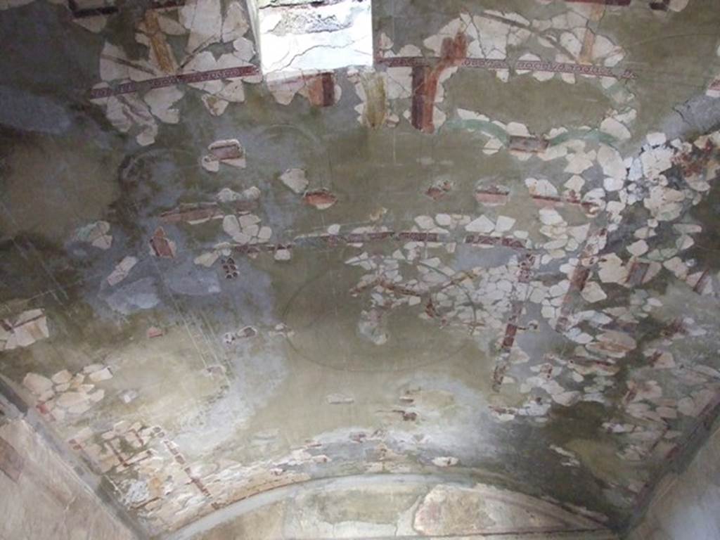 I.10.11 Pompeii. March 2009. Room 8. Triclinium. Ceiling.