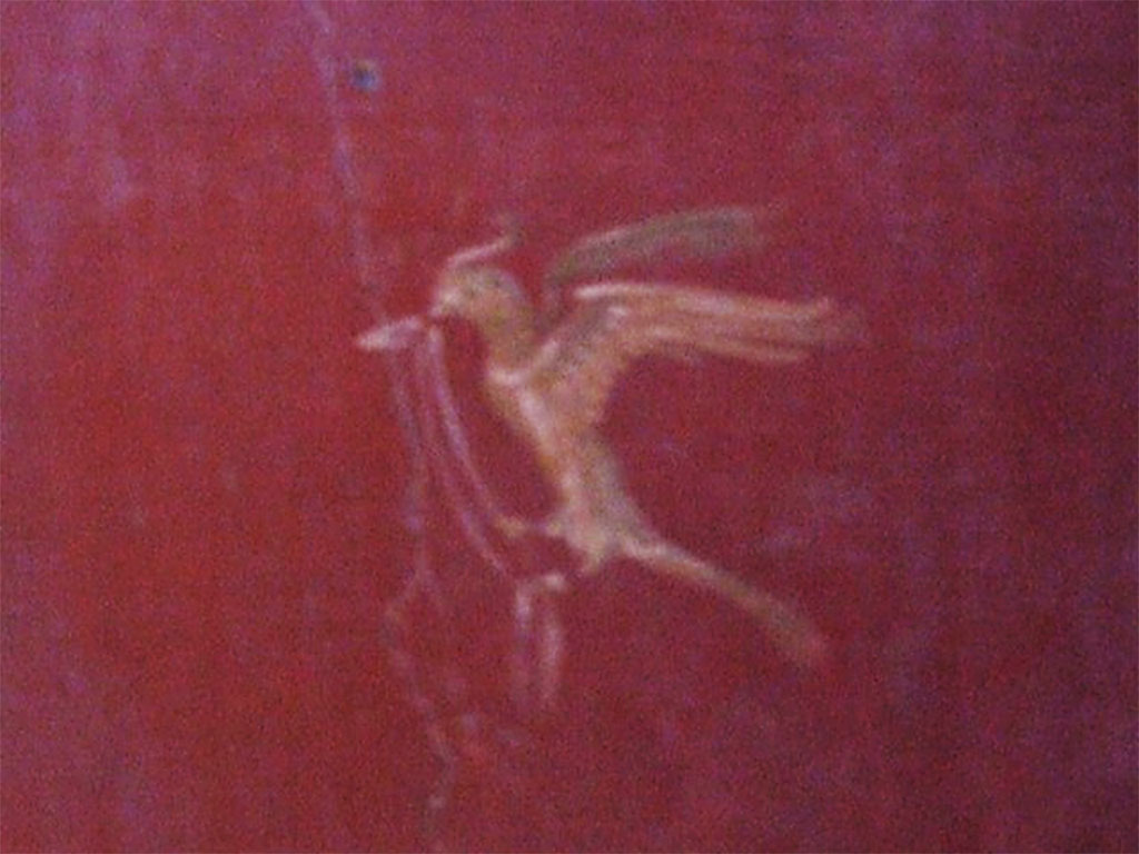 I.10.11 Pompeii. March 2009. Room 9, south end of east wall of cubiculum. Painting of a bird with a ribbon in its beak.
See Bragantini, de Vos, Badoni, 1981. Pitture e Pavimenti di Pompei, Parte 1. Rome: ICCD. (p.141).