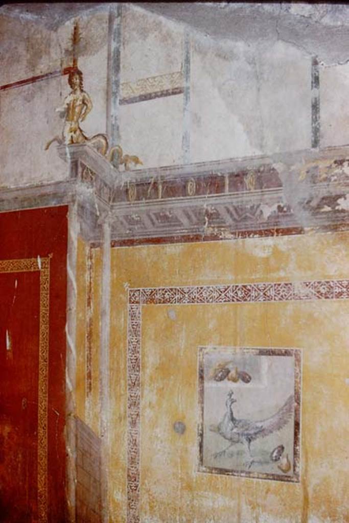 I.10.11 Pompeii. 1959. Room 9, detail from south wall of cubiculum. Photo by Stanley A. Jashemski.
Source: The Wilhelmina and Stanley A. Jashemski archive in the University of Maryland Library, Special Collections (See collection page) and made available under the Creative Commons Attribution-Non Commercial License v.4. See Licence and use details.
J59f0285