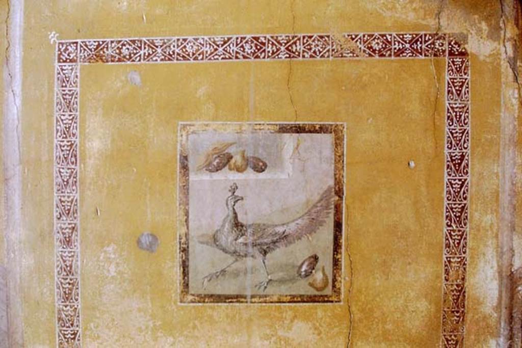 I.10.11 Pompeii. 1968. Room 9, detail from south wall of cubiculum. Photo by Stanley A. Jashemski.
Source: The Wilhelmina and Stanley A. Jashemski archive in the University of Maryland Library, Special Collections (See collection page) and made available under the Creative Commons Attribution-Non Commercial License v.4. See Licence and use details.
J68f0489