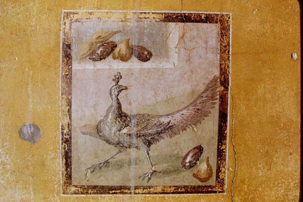 I.10.11 Pompeii. 1968. Room 9, central painting of peahen and fruit from south wall of cubiculum.
Photo by Stanley A. Jashemski.
Source: The Wilhelmina and Stanley A. Jashemski archive in the University of Maryland Library, Special Collections (See collection page) and made available under the Creative Commons Attribution-Non Commercial License v.4. See Licence and use details.
J68f0490