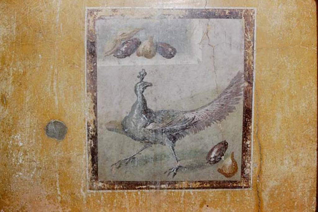 I.10.11 Pompeii. 1959. Room 9, central painting of peahen and fruit, from south wall of cubiculum.
Photo by Stanley A. Jashemski.
Source: The Wilhelmina and Stanley A. Jashemski archive in the University of Maryland Library, Special Collections (See collection page) and made available under the Creative Commons Attribution-Non Commercial License v.4. See Licence and use details.
J59f0284