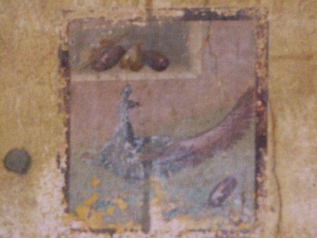 I.10.11 Pompeii. March 2009. Room 9, painting of a peahen and fruit from west end of south wall of cubiculum.
See Bragantini, de Vos, Badoni, 1981. Pitture e Pavimenti di Pompei, Parte 1. Rome: ICCD. (p.141).