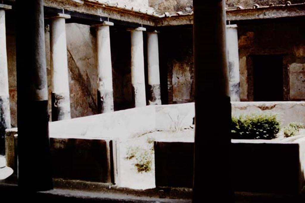 I.10.11 Pompeii. 1961. Room 10, peristyle. Looking north-east across peristyle.
On the north wall, on the left between the columns, the outline of the stairs to the upper floor can be seen. Photo by Stanley A. Jashemski.
Source: The Wilhelmina and Stanley A. Jashemski archive in the University of Maryland Library, Special Collections (See collection page) and made available under the Creative Commons Attribution-Non Commercial License v.4. See Licence and use details.
J61f0343