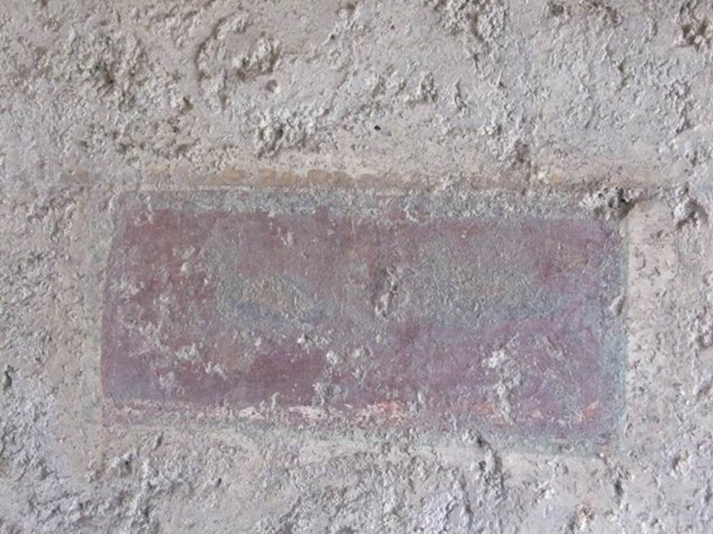 I.10.11 Pompeii. March 2009. Room 10. Peristyle. North wall. Painting of ducks.