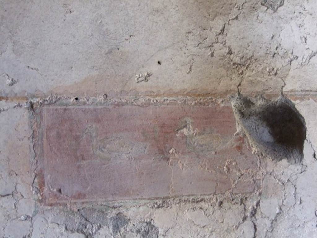 I.10.11 Pompeii. March 2009. Room 10. Peristyle. North wall. Painting of ducks.