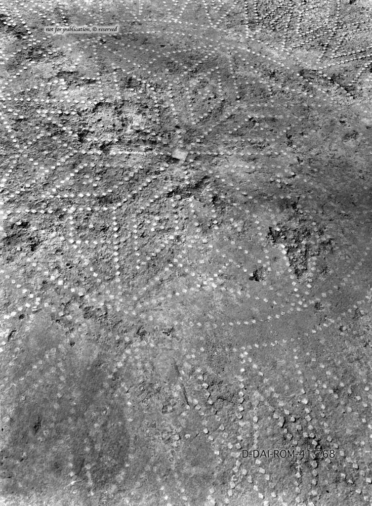 1.10.11 Pompeii. c.1930. Room 11, flooring in oecus.
DAIR 41.768. Photo © Deutsches Archäologisches Institut, Abteilung Rom, Arkiv.
See Pernice, E. 1938. Pavimente und Figürliche Mosaiken: Die Hellenistische Kunst in Pompeji, Band VI. Berlin: de Gruyter, (tav. 48,2 above.)