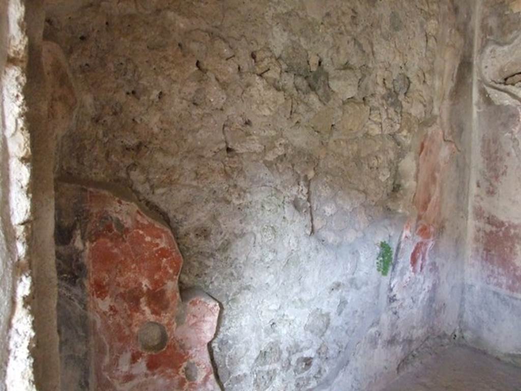 I.10.11 Pompeii. March 2009. Room 11. Oecus. North wall.