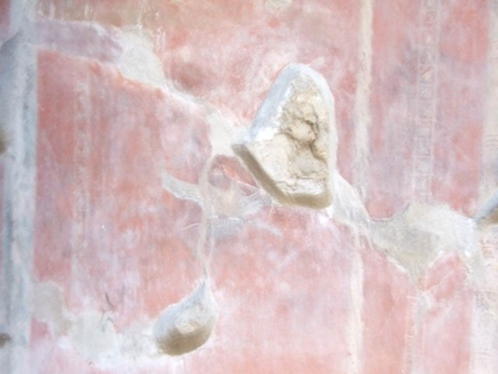 I.10.11 Pompeii. March 2009. Room 12. Cubiculum. North wall. West side. Painting of swan.