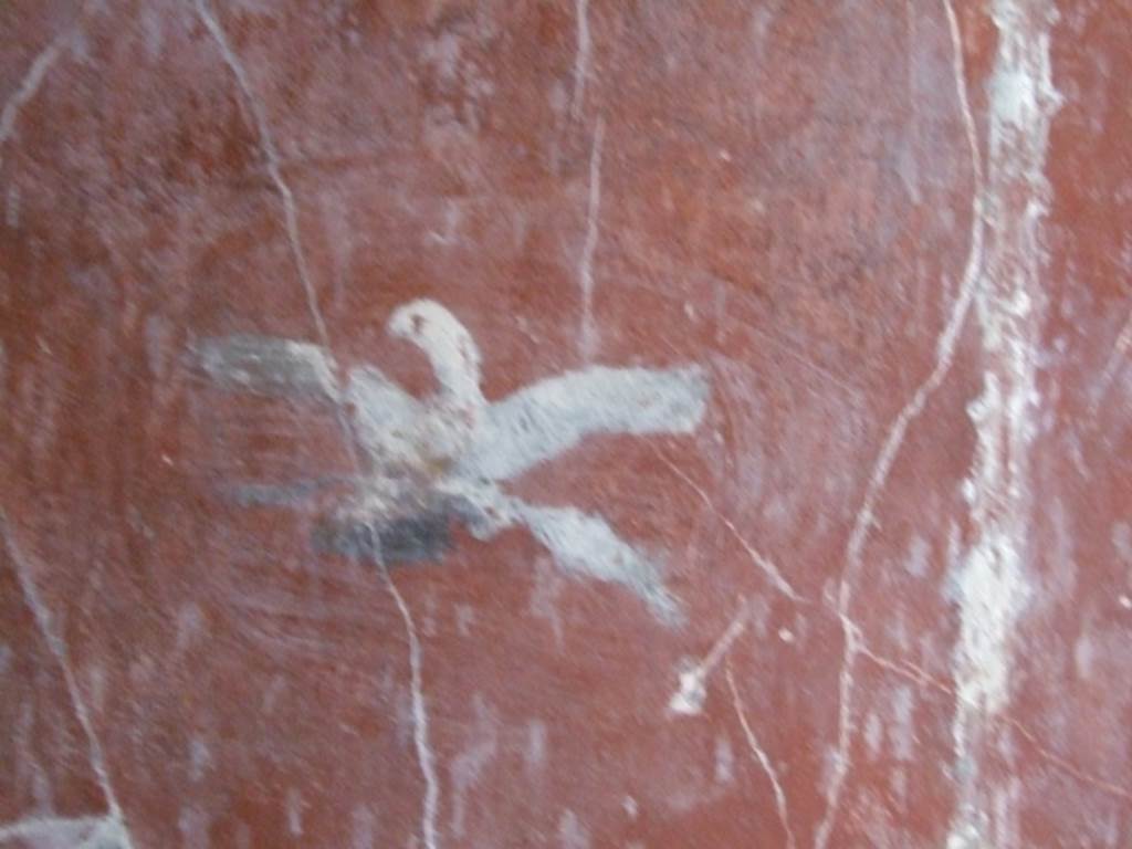 I.10.11 Pompeii. March 2009. Room 12. Cubiculum. South wall. East end. Painting of an eagle.