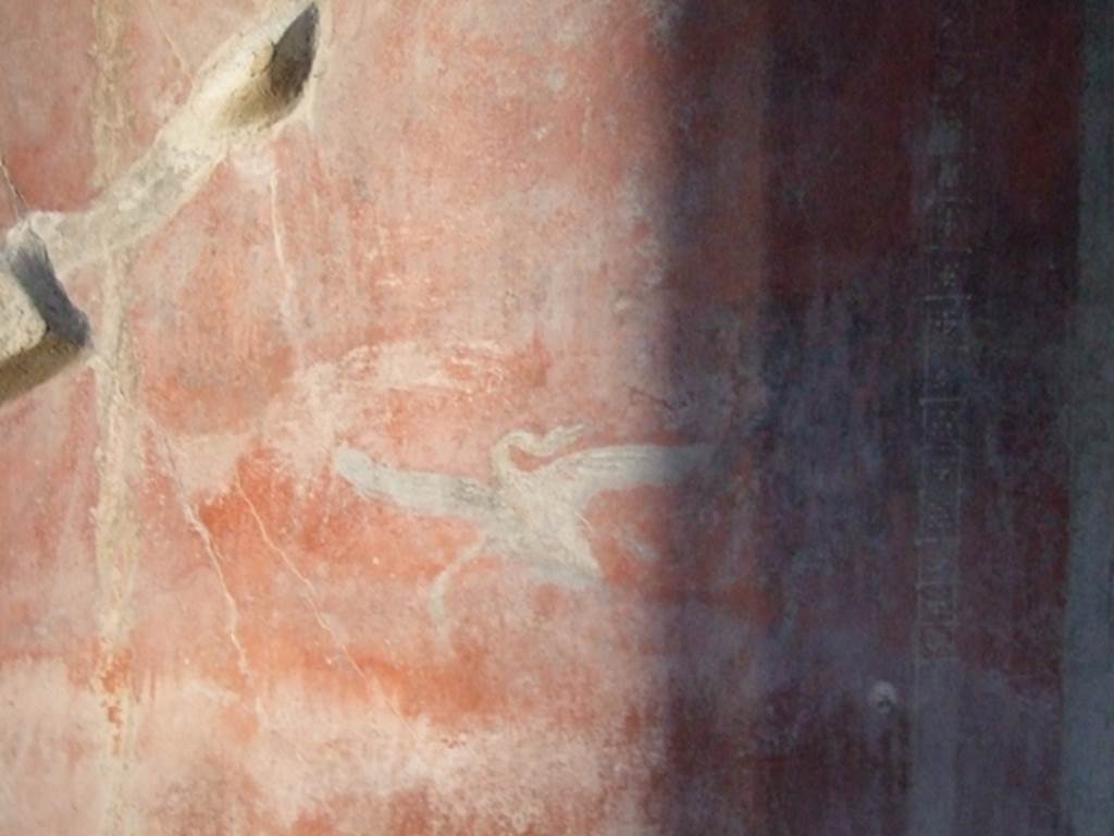 I.10.11 Pompeii. March 2009. Room 12. Cubiculum. South wall. West end. Painting of a swan.