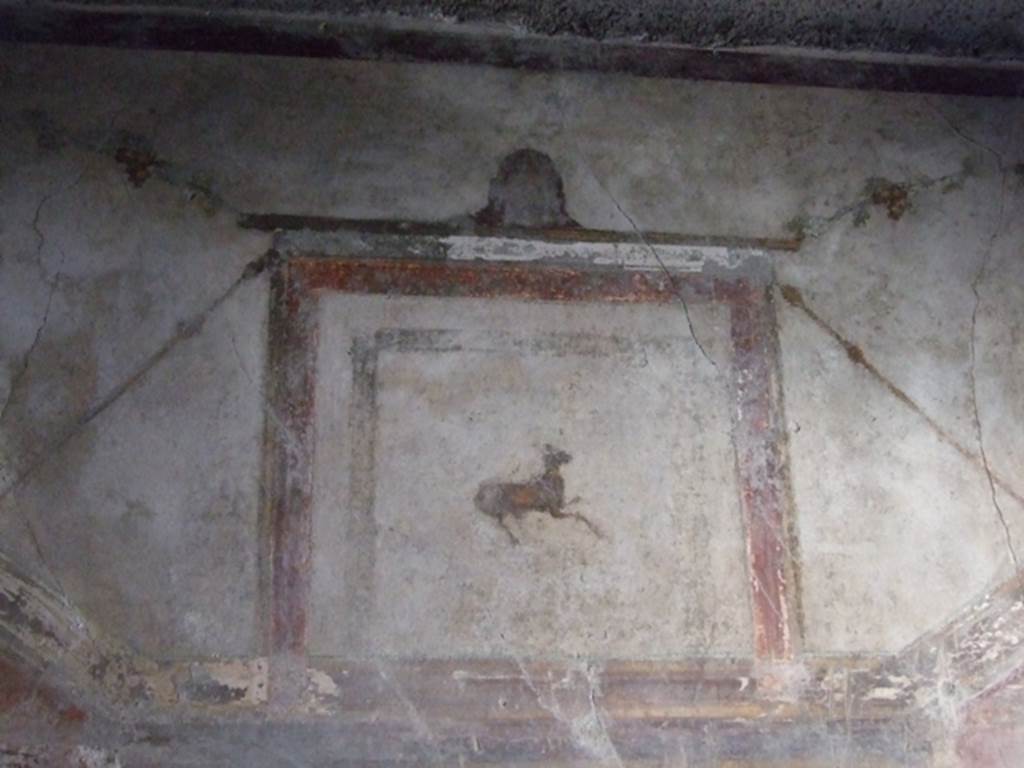 I.10.11 Pompeii. March 2009. Room 12. Cubiculum. South wall. Upper part. Painting of a goat.