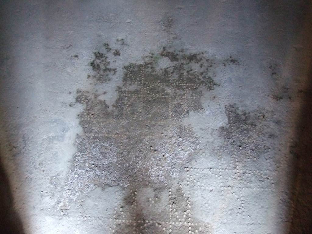 I.10.11 Pompeii. March 2009. Room 12. Cubiculum. Patterned floor.