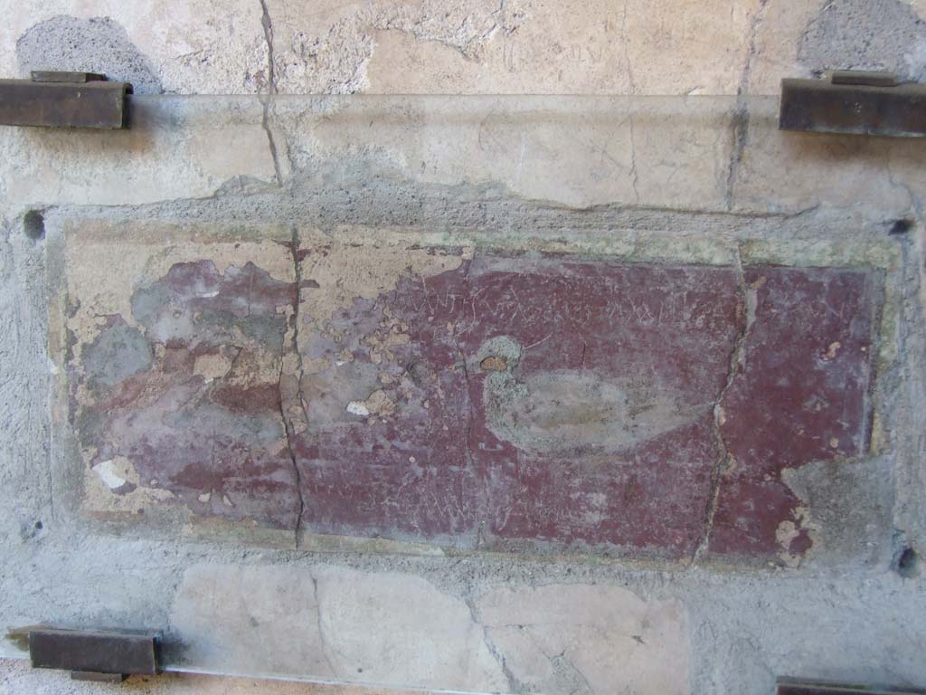 I.10.11 Pompeii. March 2009. Room 10, east wall of peristyle, on south side of doorway to room 13.
Painting of ducks with graffito. CIL IV 8408 a-c.
“Amantes ut apes vitam melitam exigent.” (Lovers, like bees, make life as sweet as honey).
See Bragantini, de Vos, Badoni, 1981. Pitture e Pavimenti di Pompei, Parte 1. Rome: ICCD, pp. 144-145.