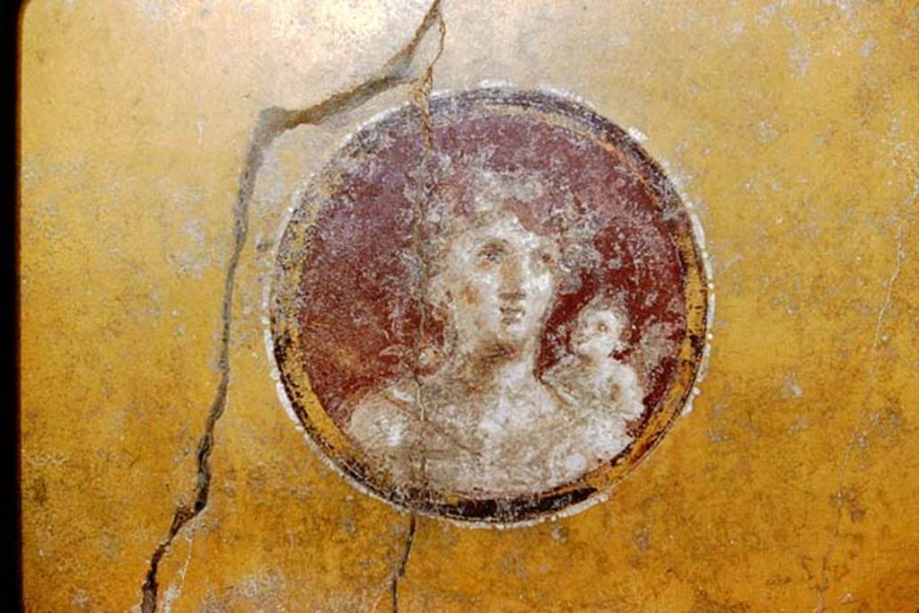 I.10.11 Pompeii. 1959. Room 13, painted portrait medallion from west wall of cubiculum.
Photo by Stanley A. Jashemski.
Source: The Wilhelmina and Stanley A. Jashemski archive in the University of Maryland Library, Special Collections (See collection page) and made available under the Creative Commons Attribution-Non Commercial License v.4. See Licence and use details.
J59f0288