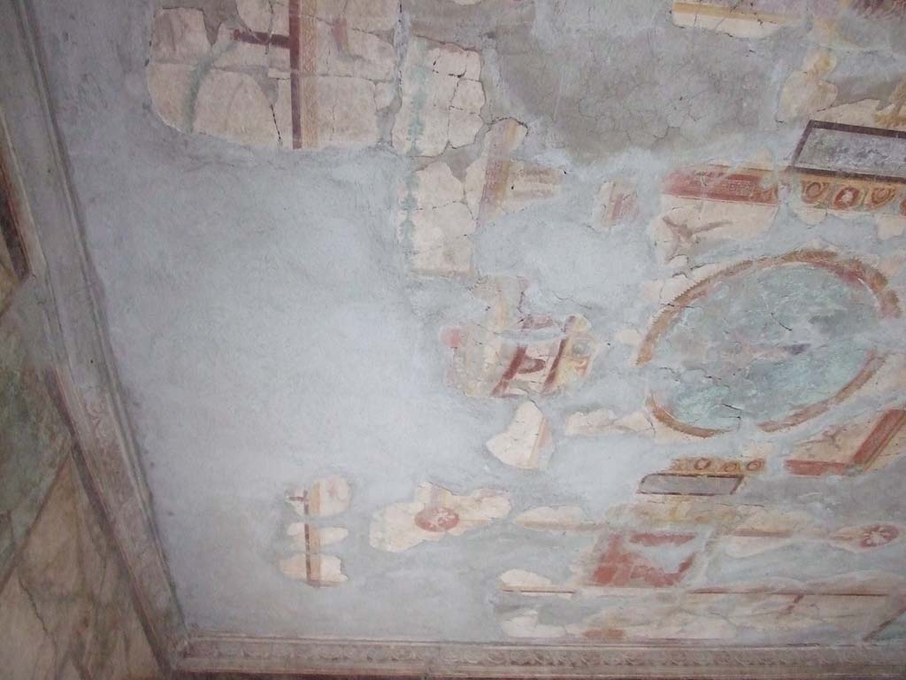 I.10.11 Pompeii. March 2009. Room 13, painted ceiling of cubiculum.