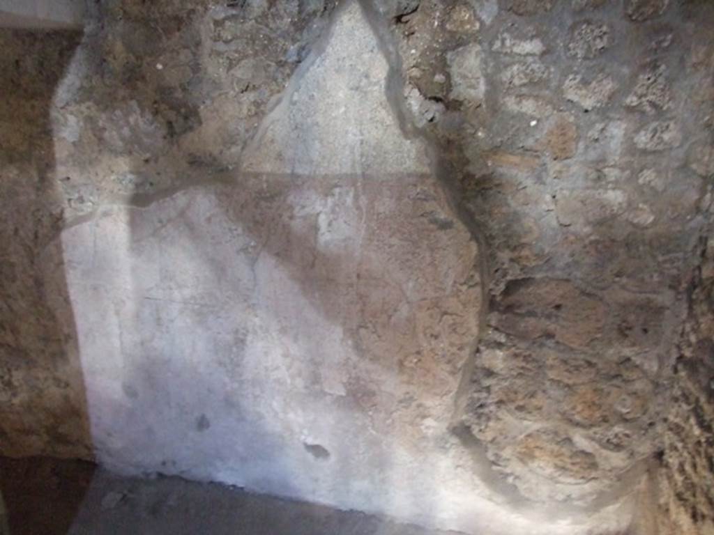 I.10.11 Pompeii. March 2009. Room 16. North wall.