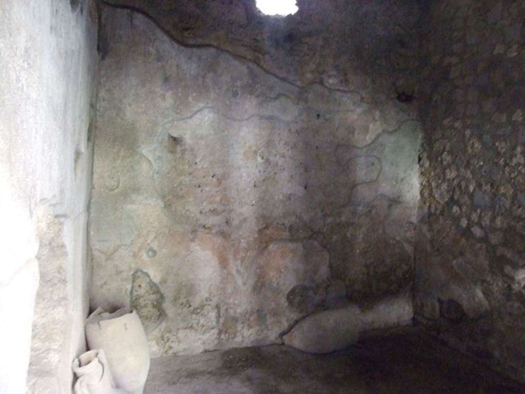 I.10.11 Pompeii. March 2009. Room 17, south wall and south-west corner.