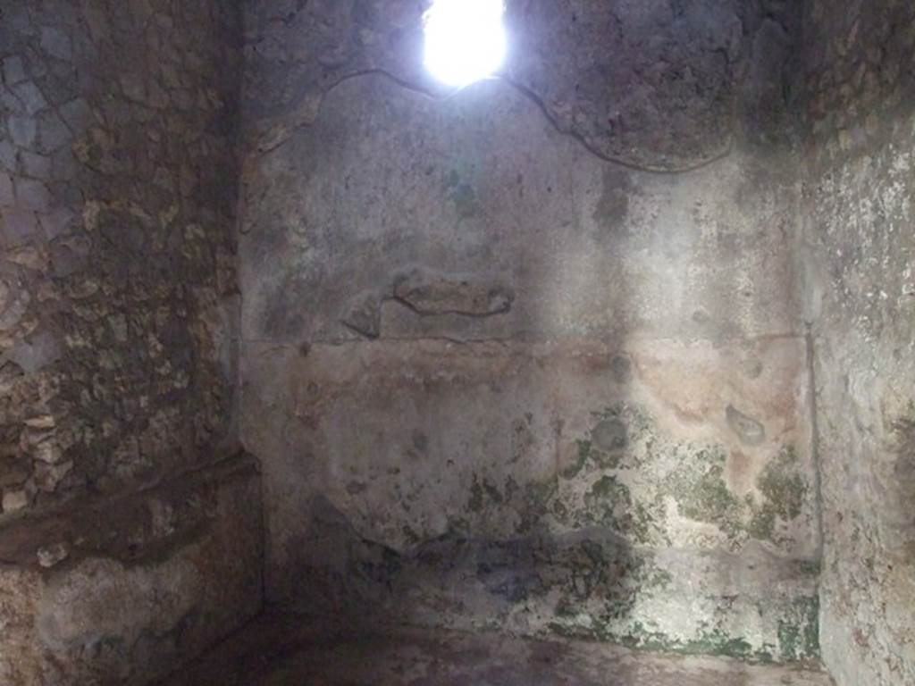 I.10.11 Pompeii. March 2009. Room 18. South wall.