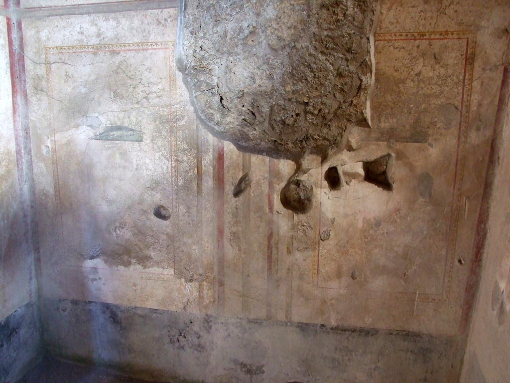 I.10.11 Pompeii. March 2009.
Room 7, east wall of cubiculum with a painted crocodile in side panel, on left, and painted ducks in rushes, on right.