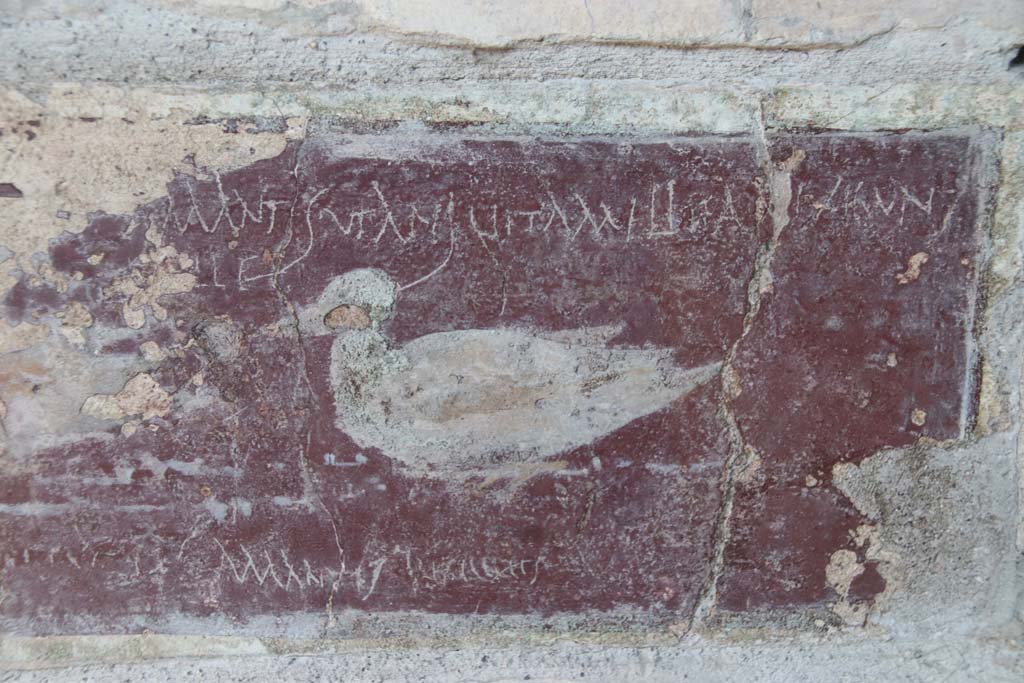 I.10.11 Pompeii. September 2021.
Room 10, detail of graffito, CIL IV 8408 a-c, on east wall of peristyle from south side of door to room 13. Photo courtesy of Klaus Heese.