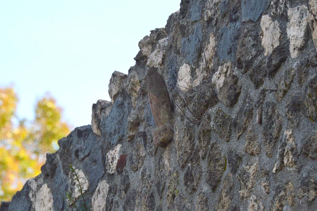 I.10.15 Pompeii. March 2019. Detail of phallus in upper west wall on Vicolo di Paquius Proculus.
Foto Taylor Lauritsen, ERC Grant 681269 DÉCOR.