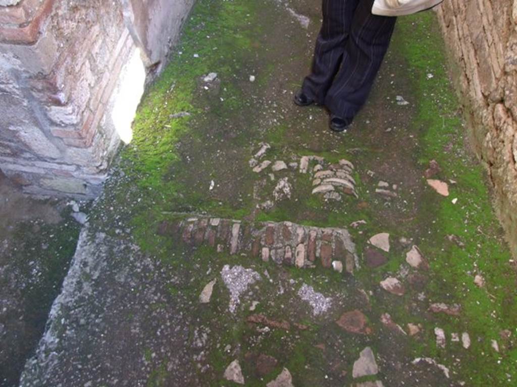 I.10.15 Pompeii. March 2009. Remains of columns in floor of corridor between peristyle and servants quarters.