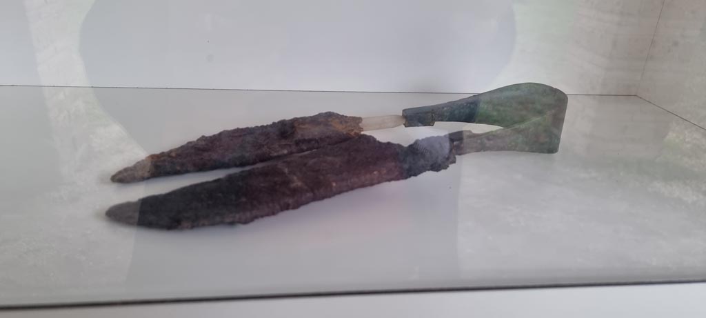 I.10.16 Pompeii, but on display in I.5.2 Pompeii. December 2023.
Shears, on display in the tannery, with iron blades and bronze spring, found in room 43 of I.10.16 House of Menander. Photo courtesy of Miriam Colomer.