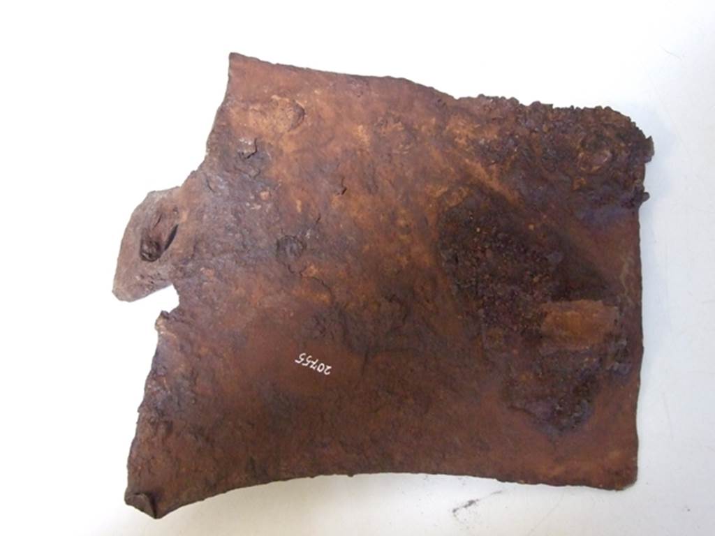 I.10.16 Pompeii. March 2009. Back of iron spade. SAP inventory number 20755.