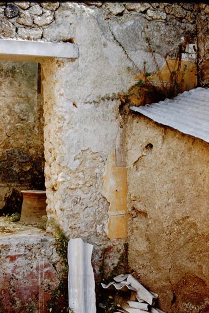 I.11.6 Pompeii. 1959.
Room 5, tablinum. South-west corner of tablinum, with view through window to garden.
Photo by Stanley A. Jashemski.
Source: The Wilhelmina and Stanley A. Jashemski archive in the University of Maryland Library, Special Collections (See collection page) and made available under the Creative Commons Attribution-Non Commercial License v.4. See Licence and use details.
J59f0490
The structure with the corrugated roof has been removed completely since this photograph was taken revealing the full wall decoration.
The small portion of a painted satyr can now be seen in its entirety.
See the wall painting of Dionysus/Bacchus with Silenus, tambourine and satyr, from the south wall.